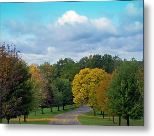 Autumn Metal Print featuring the photograph Autumn Road by Aimee L Maher ALM GALLERY