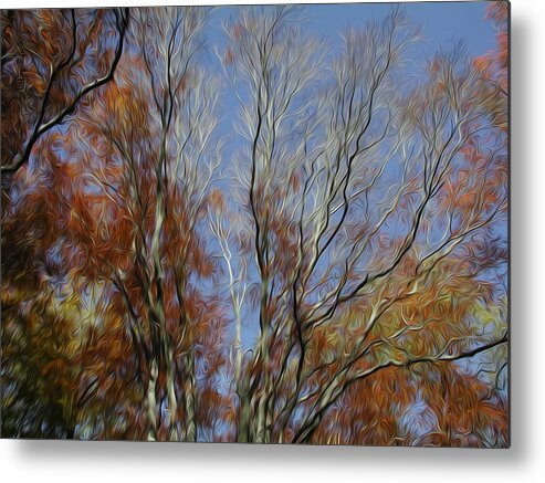 Tree Metal Print featuring the digital art Autumn Sky by Kelvin Booker