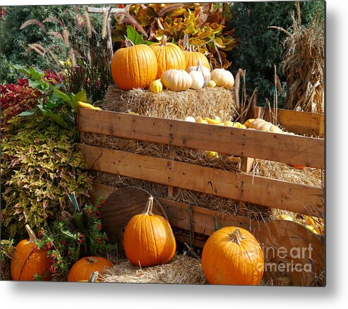 Harvest Metal Print featuring the photograph Autumntime Pumpkintime by Christiane Schulze Art And Photography