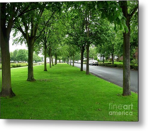 Trees Metal Print featuring the photograph Avenue of Trees at Port Sunlight by Joan-Violet Stretch