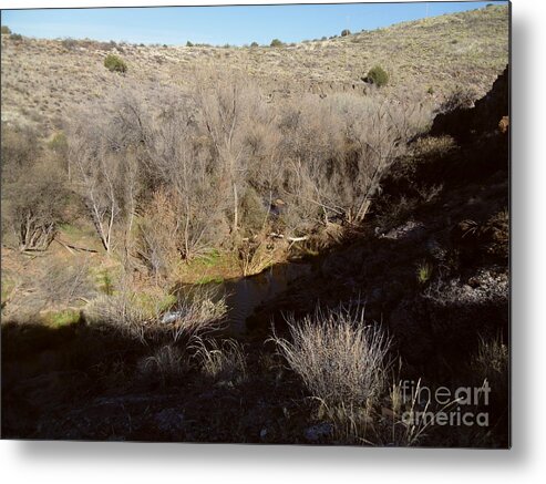 Nature Metal Print featuring the photograph AZ Life 13 by Dustin Graves