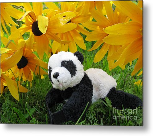 Baby Panda Metal Print featuring the photograph Baby panda under the golden sky by Ausra Huntington nee Paulauskaite