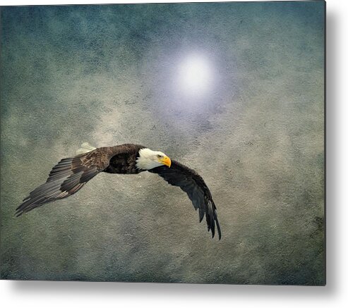 Eagle Metal Print featuring the photograph Bald Eagle Textured Art by David Dehner
