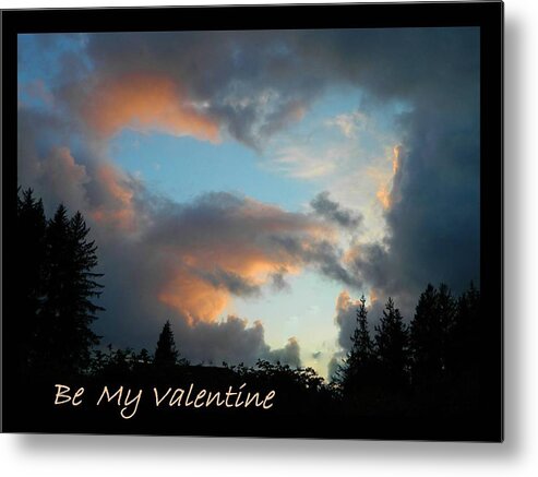 Valentines Day Metal Print featuring the photograph Be My Valentine by Gallery Of Hope 