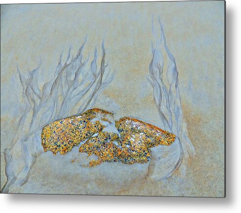 Nature Metal Print featuring the photograph Beach Sand 1 by Marcia Lee Jones