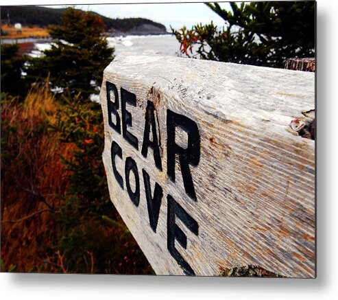 Bear Cove Metal Print featuring the photograph Bear Cove by Zinvolle Art