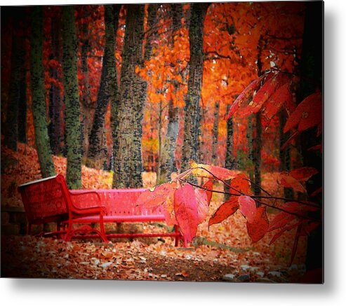 Autumn Metal Print featuring the photograph Benches in the Park by Joyce Kimble Smith