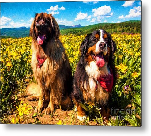 Bernese Mountain Dog Metal Print featuring the painting Bernese Mountain Dog and Leonberger Among Wildflowers by Gary Whitton