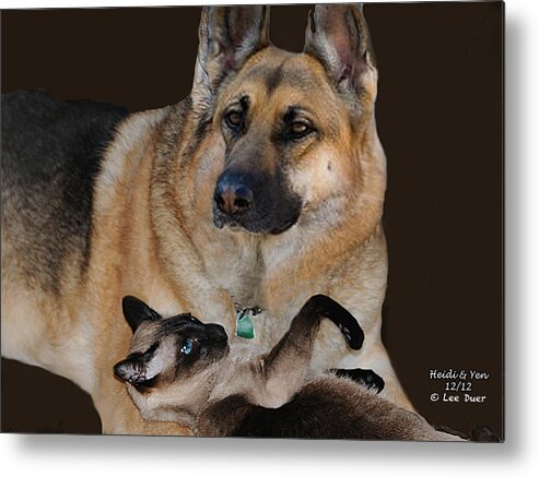 Best Friends - Lee Duer Metal Print featuring the photograph Best Friends by Lee Duer