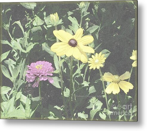 Flowers Metal Print featuring the photograph Beyond the Pale by Kathie Chicoine