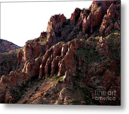 Big Bend National Park Metal Print featuring the photograph Big Bend The Mountain's Hand by Linda Cox