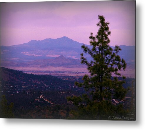 Prescott National Forest Metal Print featuring the photograph Bill Williams Over the Valley by Aaron Burrows
