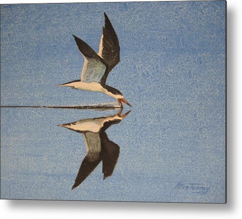 Skimmer Metal Print featuring the painting Black Skimmer by Stan Tenney