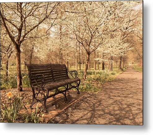 Tower Grove Park Metal Print featuring the photograph Blossoms by Scott Rackers