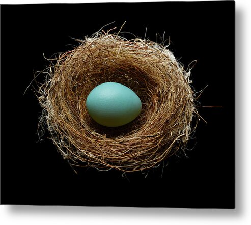 Security Metal Print featuring the photograph Blue Egg In A Nest by Don Farrall