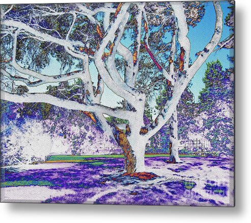 Kathie Chicoine Metal Print featuring the photograph Blue Ice by Kathie Chicoine
