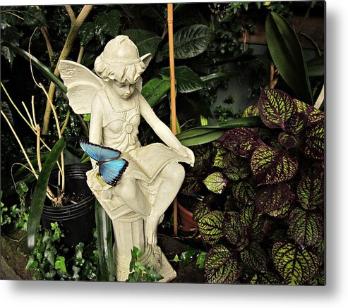 Blue Morpho Butterfly Metal Print featuring the photograph Blue Morpho on Statue by MTBobbins Photography