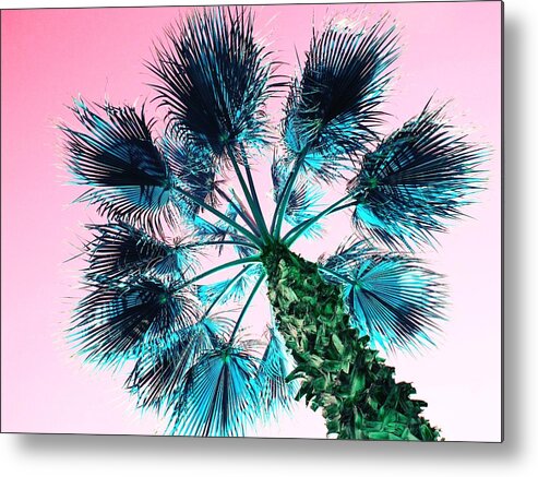 Palm Tree Metal Print featuring the photograph Blue Palm Tree with Pink Sky by Marianna Mills