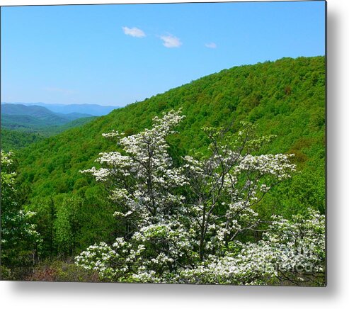 Shenandoah Valley Metal Print featuring the photograph Blueridge Parkway Scenic by Scott Cameron