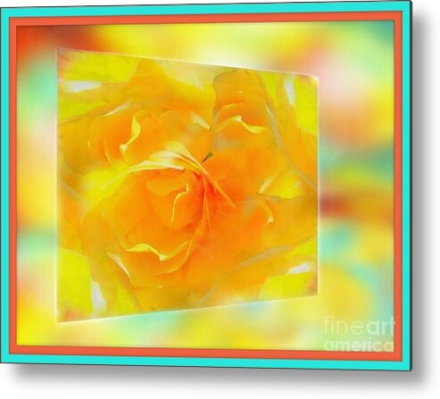 Blushing Metal Print featuring the photograph Blushing Yellow Rose framed by Becky Lupe