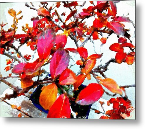 Bonsai Tree Metal Print featuring the painting Bonsai Tree with Red Leaves by Joan Reese