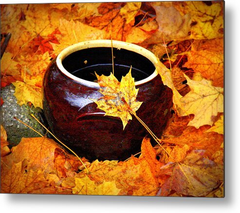 Still Life Metal Print featuring the photograph Bowl and Leaves by Rodney Lee Williams