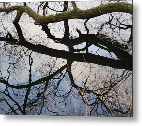 Treebranches Metal Print featuring the photograph Branches by Rosita Larsson
