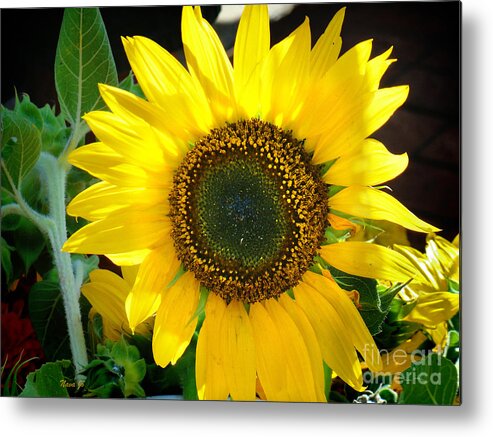 Nava Jo Thompson Metal Print featuring the photograph Bright Sunflower by Nava Thompson