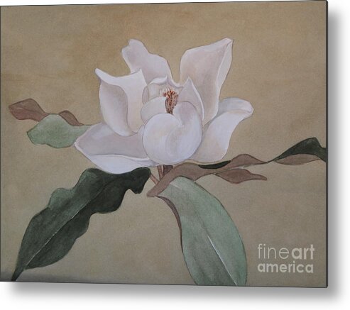 The Magnolia's White Is Like No Other. A Tan Background Adds Even More Metal Print featuring the painting Bright White by Nancy Kane Chapman