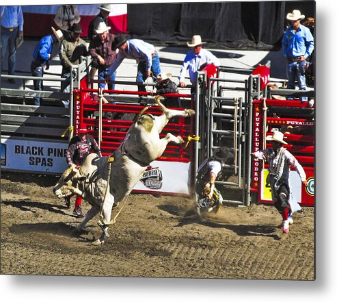 Rodeo Metal Print featuring the photograph Bull Riding by Ron Roberts