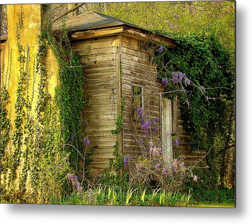 Fine Art Metal Print featuring the photograph Cabin in the Back by Rodney Lee Williams
