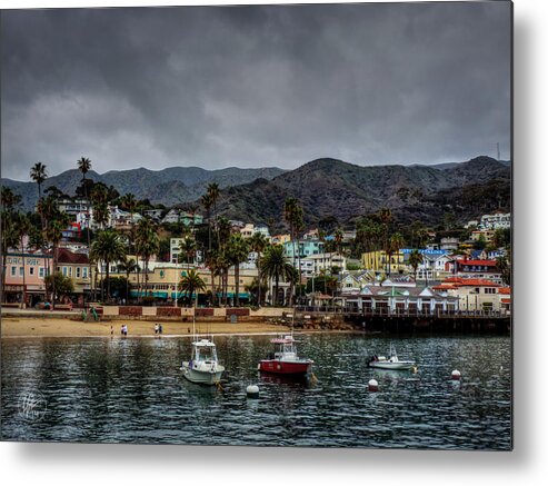 Catalina Island Metal Print featuring the photograph California - Catalina Island 004 by Lance Vaughn