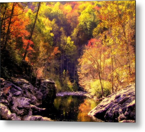 Mountain Streams Metal Print featuring the photograph Calling Me Home by Karen Wiles