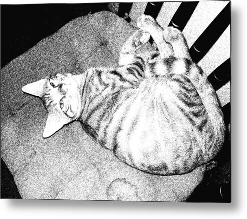 Cat Metal Print featuring the digital art Can I Have My Nap by Eric Forster