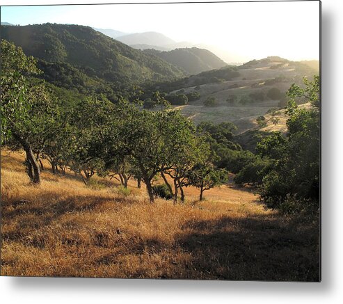 Carmel Valley Metal Print featuring the photograph Carmel Valley Number 7 by Derek Dean