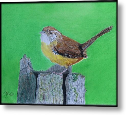 Birds Metal Print featuring the drawing Carolina Wren by Tony Clark