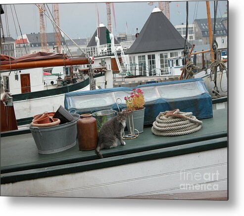 Cats Metal Print featuring the photograph Cat on Boat by Jim Goodman