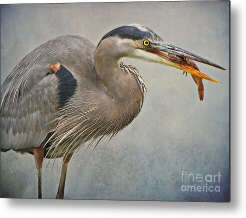  Metal Print featuring the photograph Catch of the day by Heather King