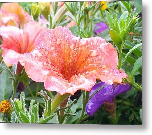 Flowers Metal Print featuring the photograph Catching Raindrops by Dani McEvoy