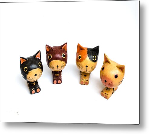 Background Metal Print featuring the photograph Cats Doll by Suntasit Fhakthap
