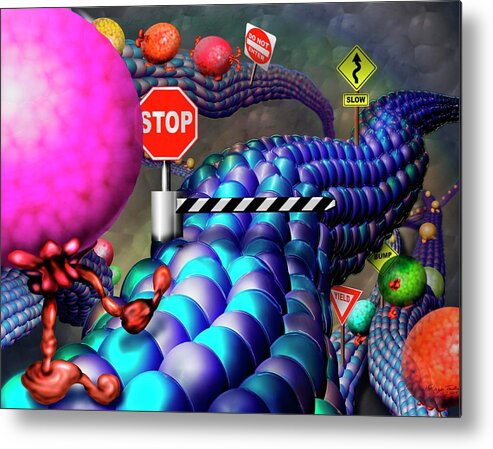 Microtubule Metal Print featuring the photograph Cell Transport Network by Nicolle Rager-fuller, National Science Foundation/science Photo Library