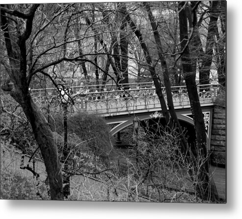 Central Park Metal Print featuring the photograph Central Park 2.1 Black and White by Chris Thomas