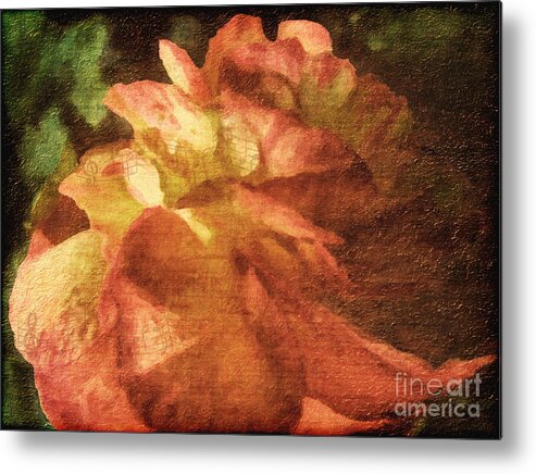 Begonia Metal Print featuring the digital art Chanson D'Amour by Lianne Schneider