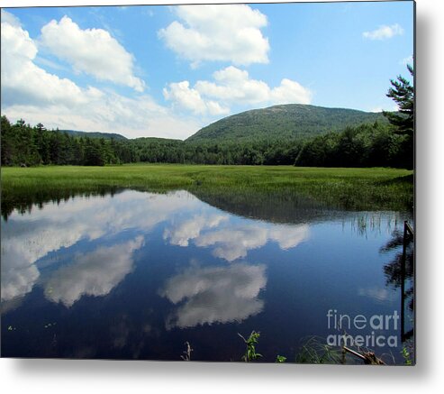 Aunt Betty's Pond Metal Print featuring the photograph Chasm Brook by Elizabeth Dow