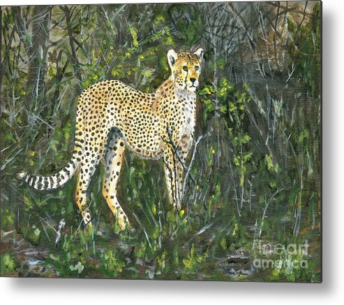 Africa Metal Print featuring the painting Cheetah Painting by Timothy Hacker