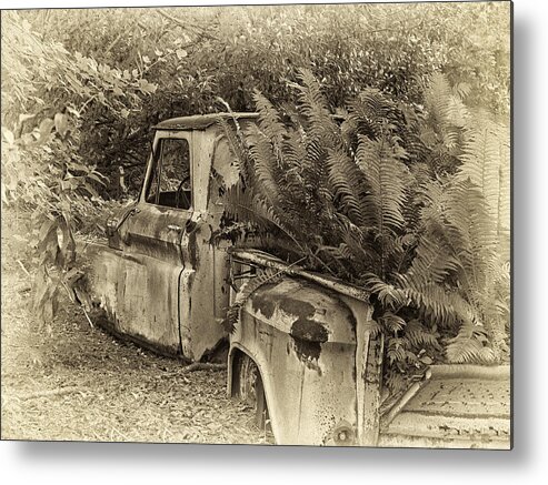 Chevy Truck Metal Print featuring the photograph Chevy Recycled by Sandra Anderson