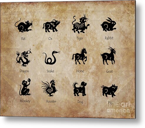 Chinese Metal Print featuring the digital art Animals of the Chinese zodiac by Delphimages Photo Creations