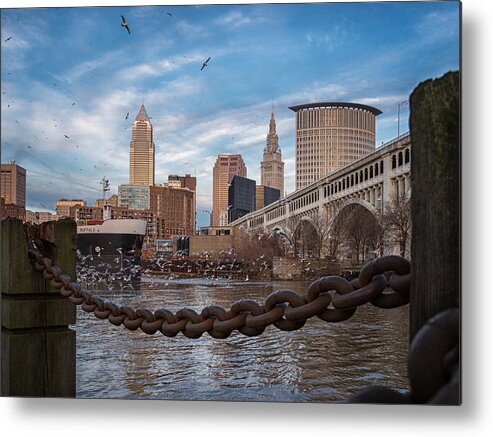 Cleveland Metal Print featuring the photograph Cleveland Is for the Birds by Jared Perry 