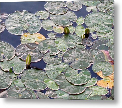 Water Metal Print featuring the photograph Closed for the night by Meagan Visser