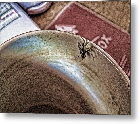 Spider Metal Print featuring the digital art Coffee Cup Spider Fly Oh MY by Robert Rhoads
